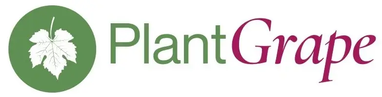 logo-plantgrape